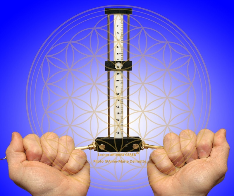 Lecher antenna used by AM Delmotte