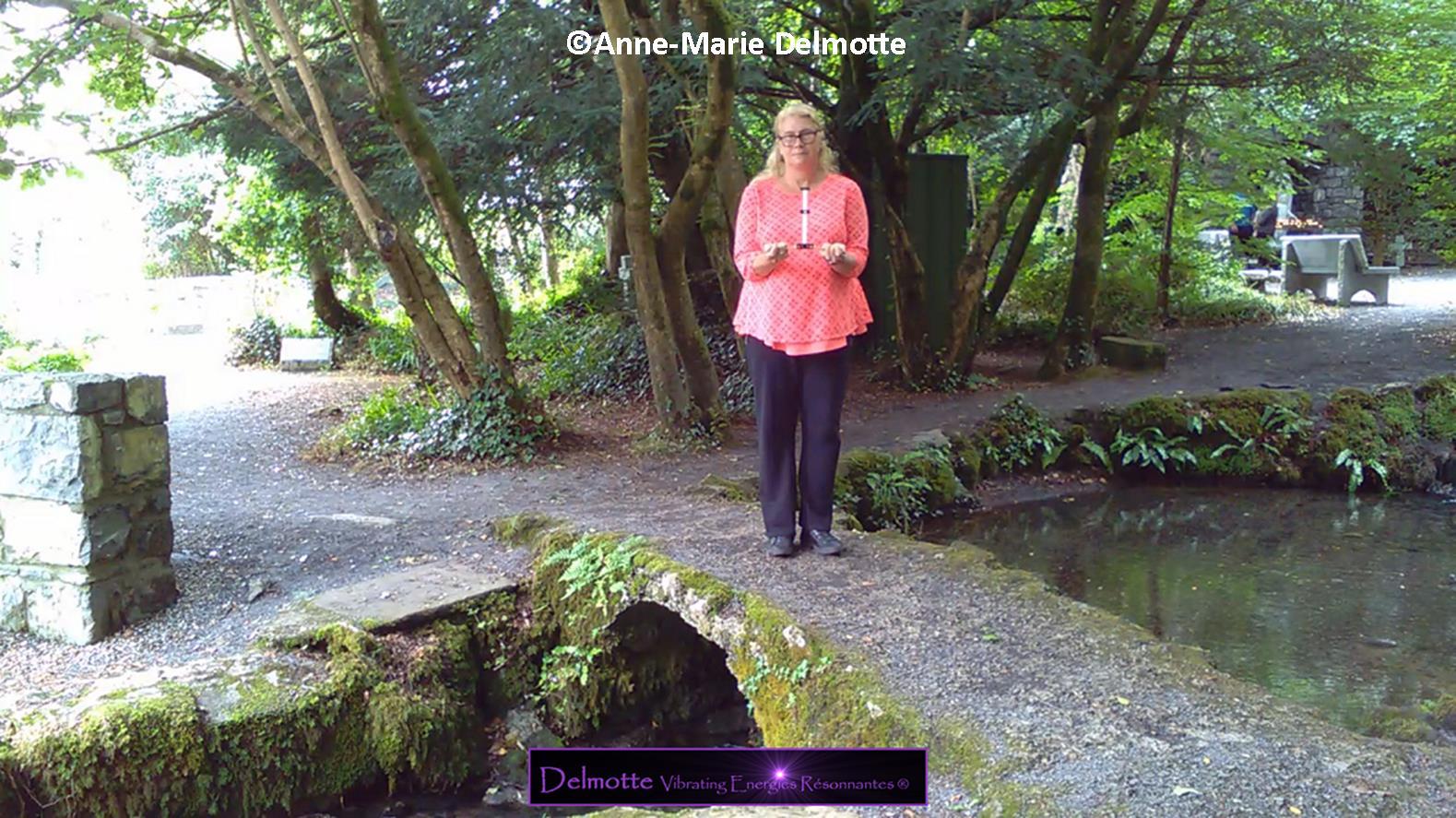 Lecher antenne Geobiologie basis wateraders