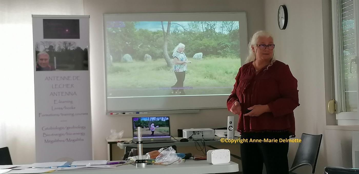 Leer Lecher antenne Geobiologie