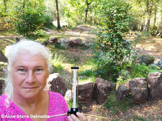 Anne-Marie Delmotte onderzoek Strenen Monumenten